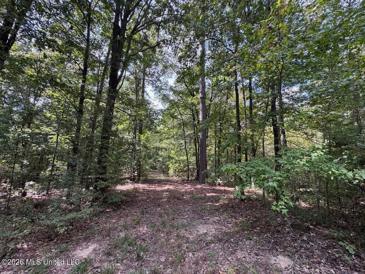 200± Acre Hunting Property in Jefferson County, MS