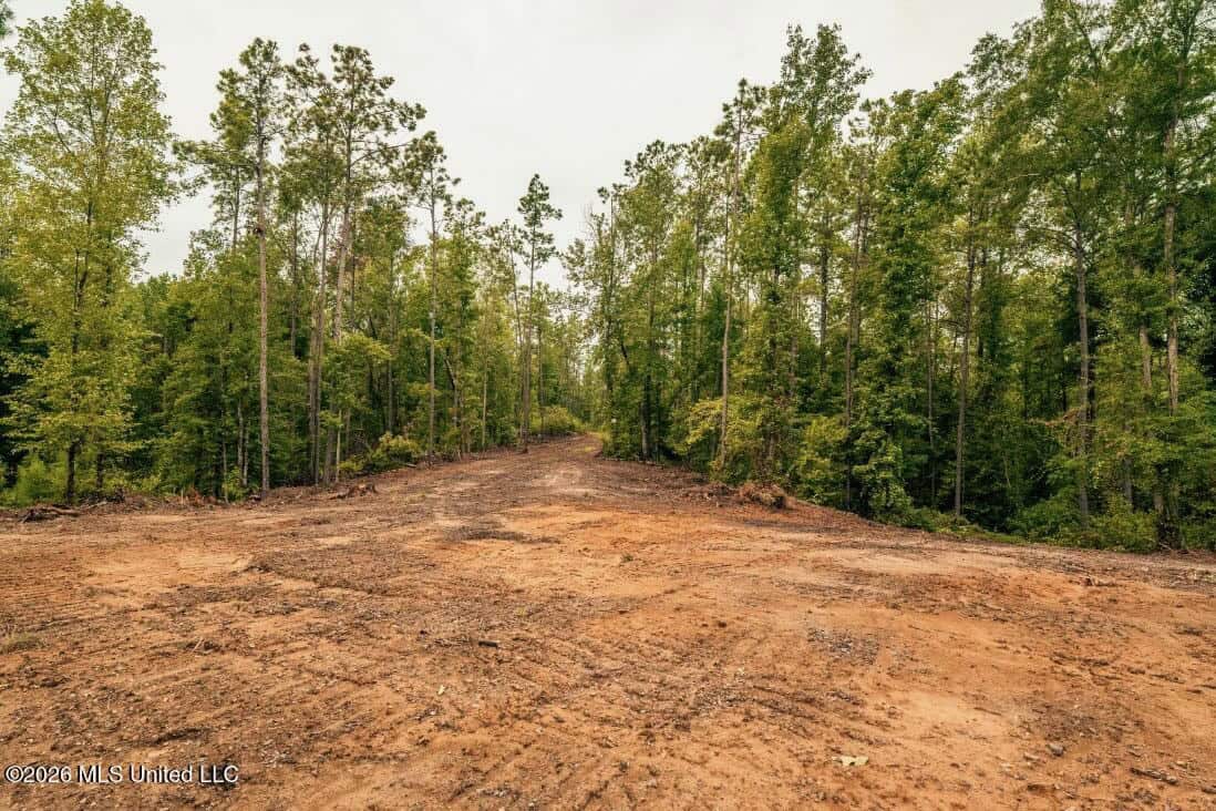 58± Acre Hunting Property in Franklin County, MS