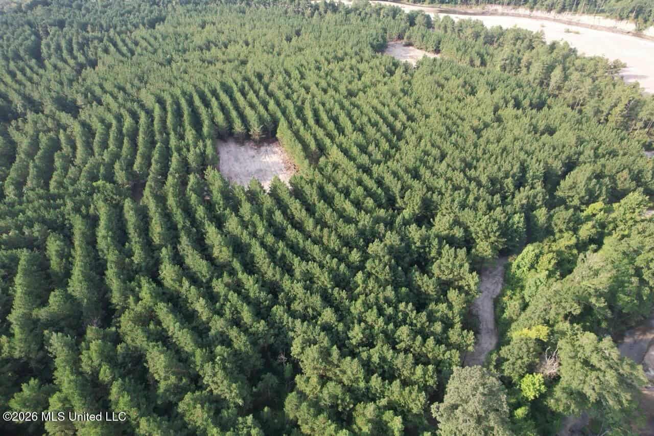 80± Acre Riverfront Hunting Land Near Meadville, MS