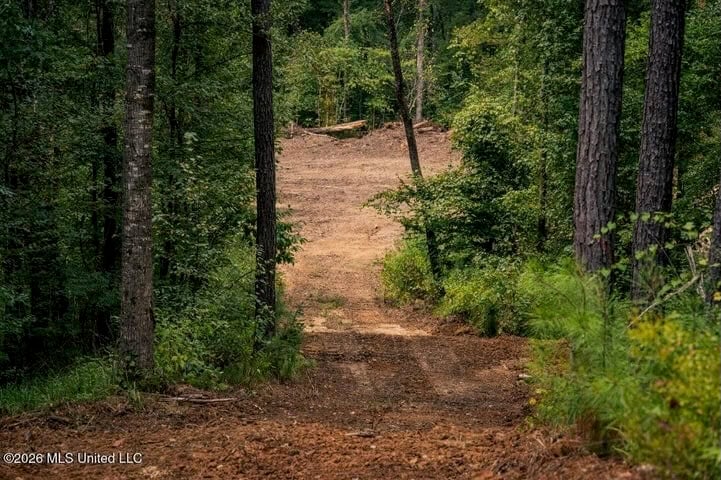 36± Acre Hunting Property Near Bude, MS