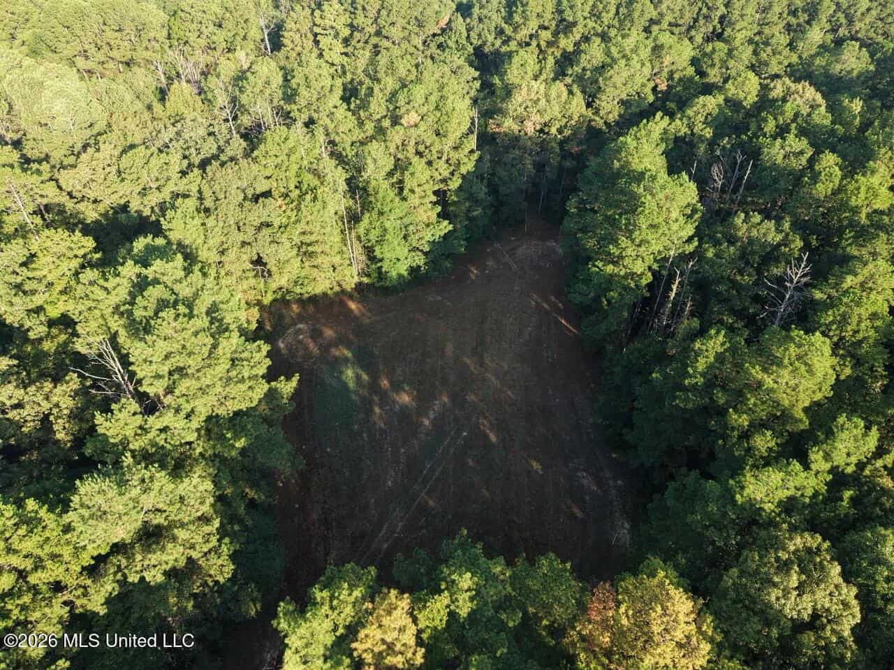 210+/- Acres and Cabin in Franklin County, MS