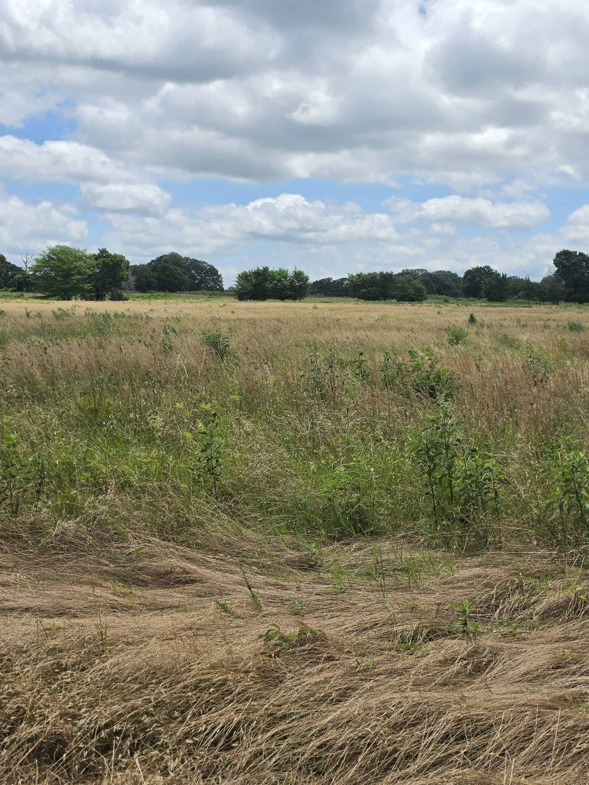 104± Acres of Whitetail Hunting, Hardwood Timber & Fishing Ponds in SE Oklahoma