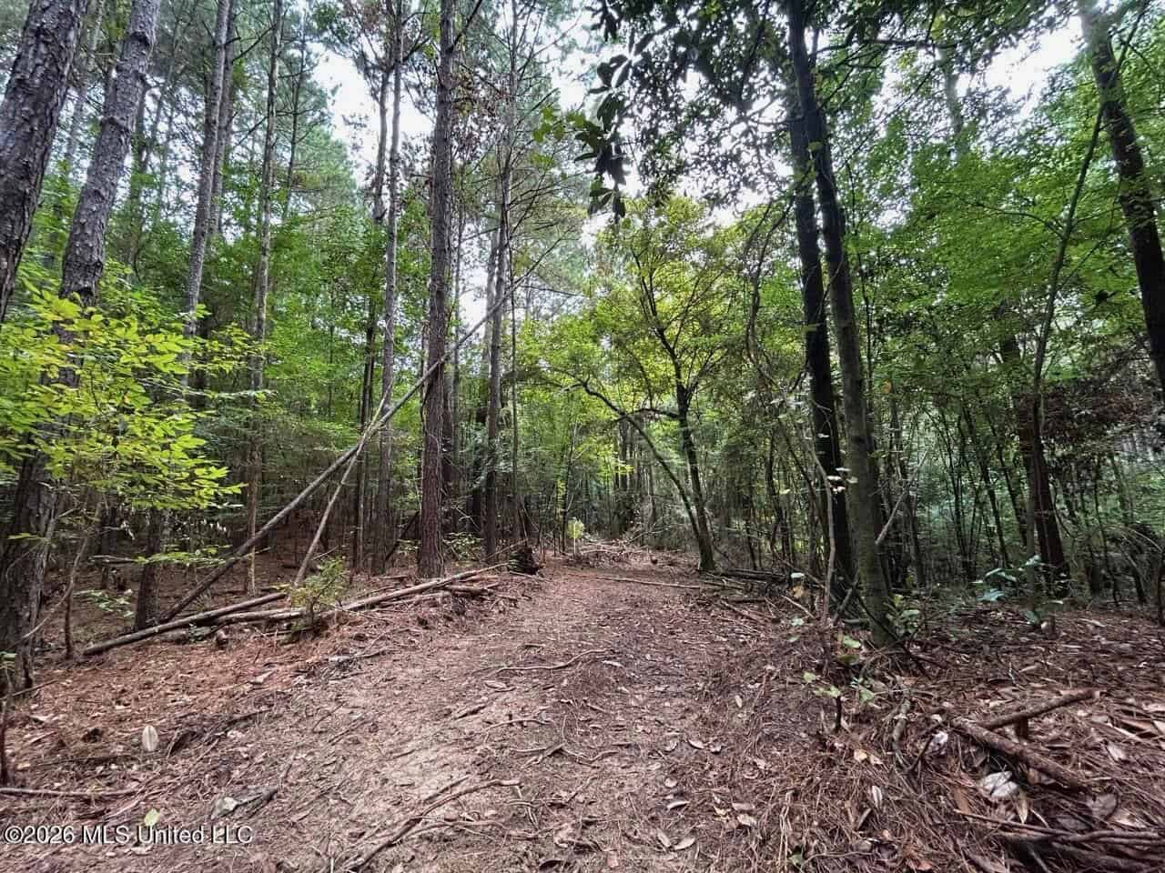 25± Acre Hunting & Homesite Tract in Centreville, MS