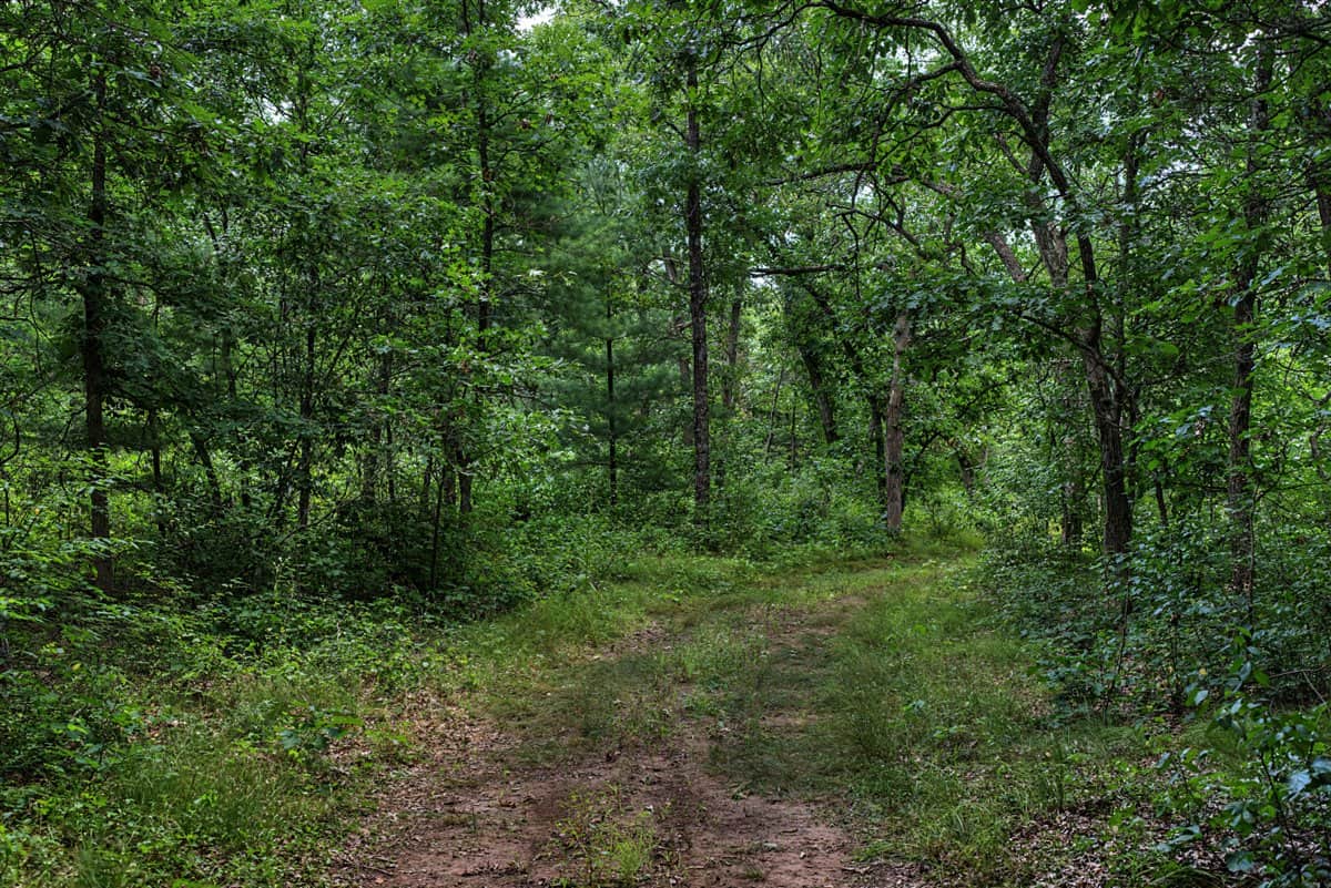 117± Acres of Irrigated Farmland and Trophy Whitetail Habitat — Adams County, Wisconsin