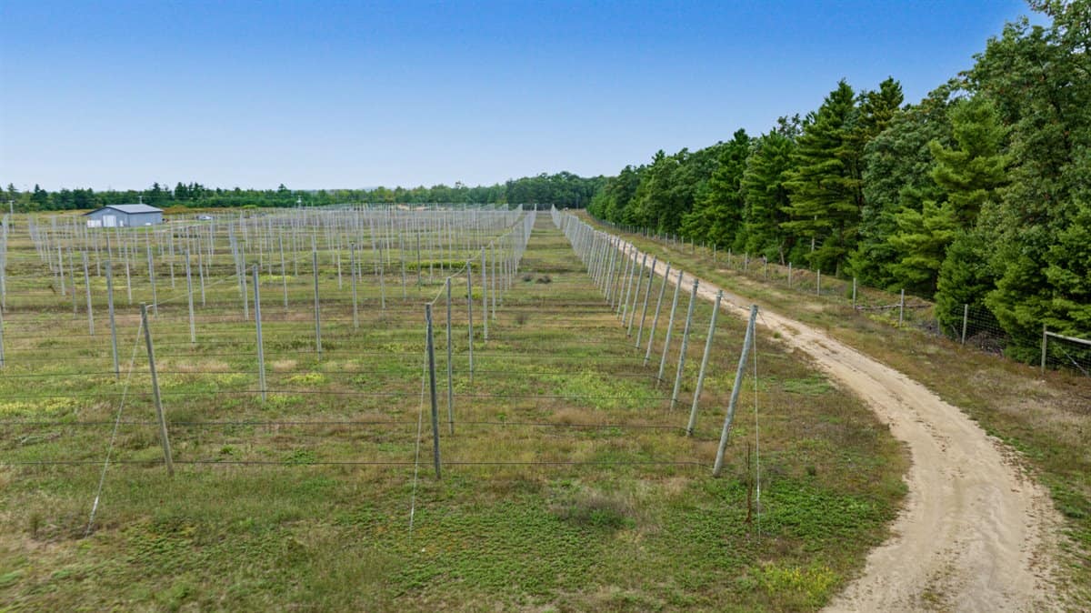 34.5± acre high-ground property in the Town of Bear Bluff