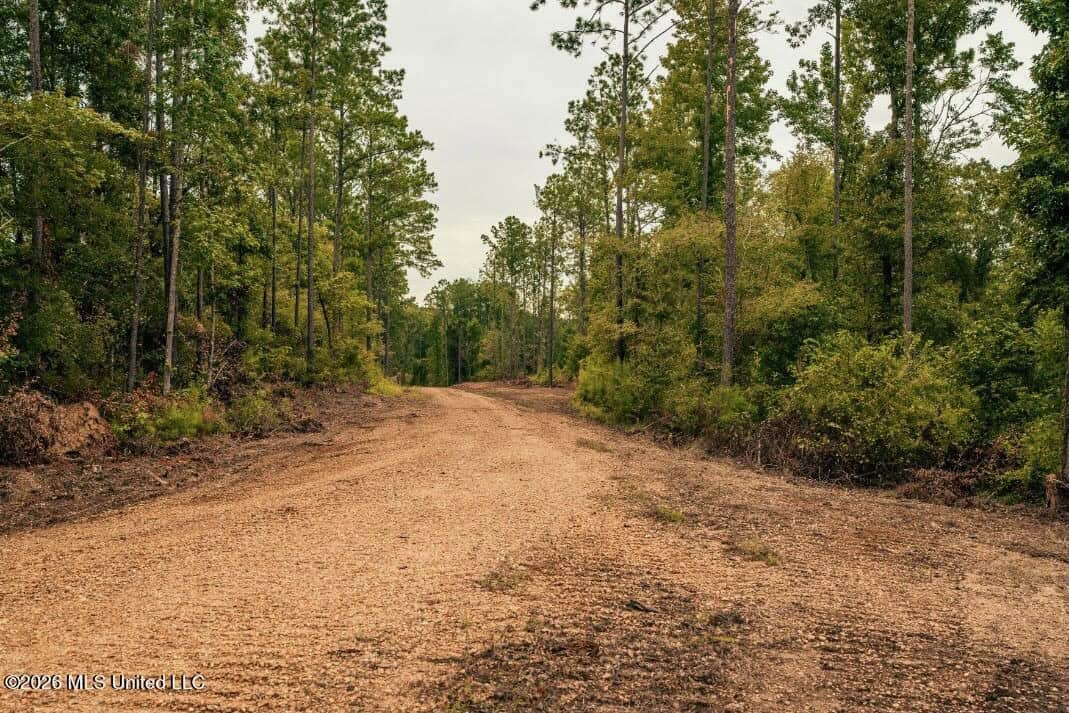 58± Acre Hunting Property in Franklin County, MS