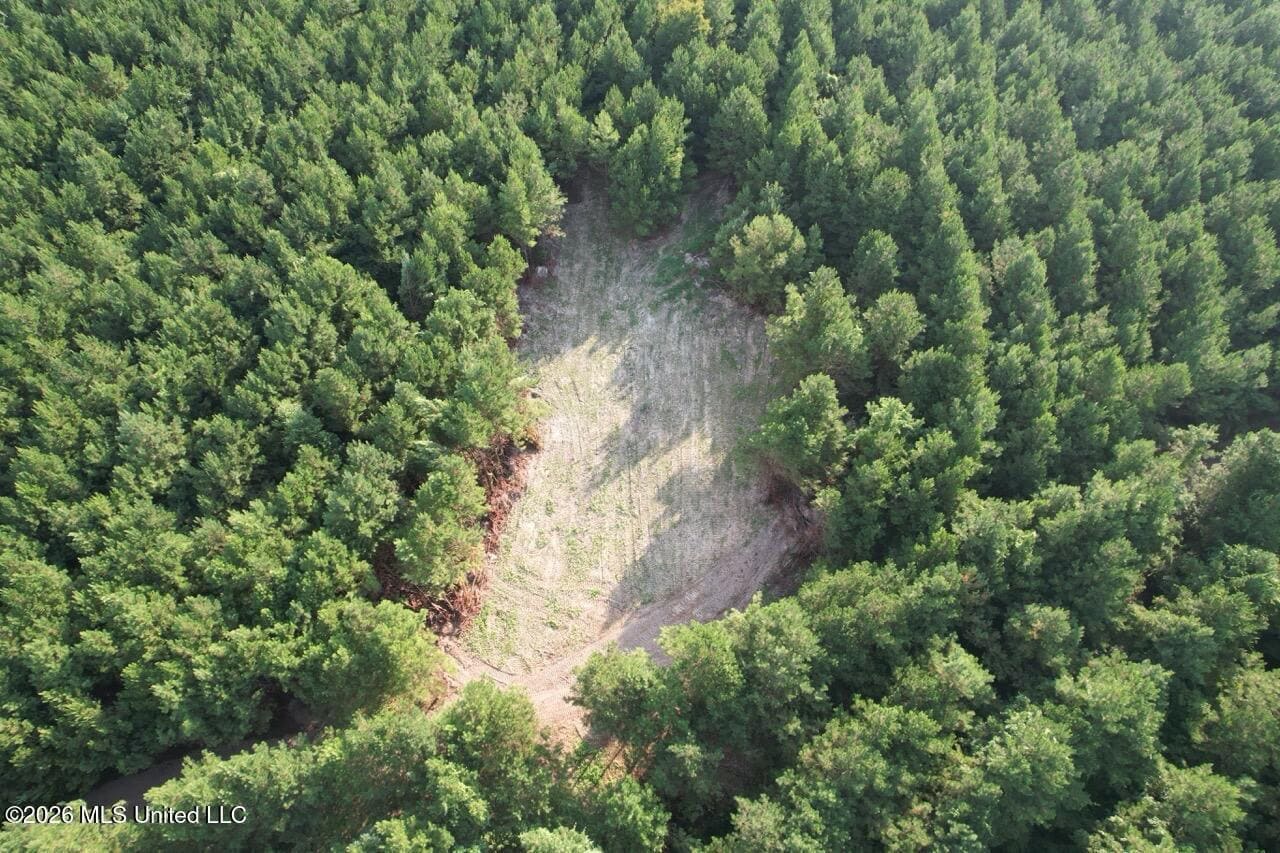 80± Acre Riverfront Hunting Land Near Meadville, MS