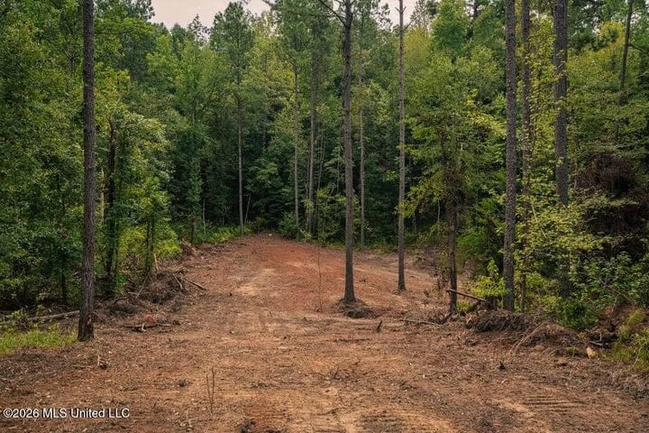 36± Acre Hunting Property Near Bude, MS