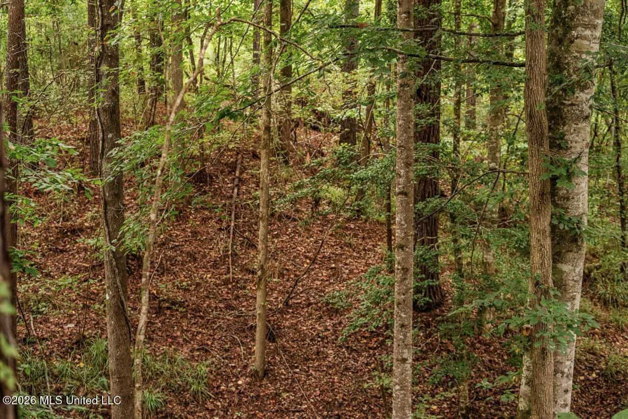 13± Acres by Homochitto National Forest Near Meadville, MS