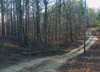 20 ± Acre Wooded Land for Sale in Salem, MO