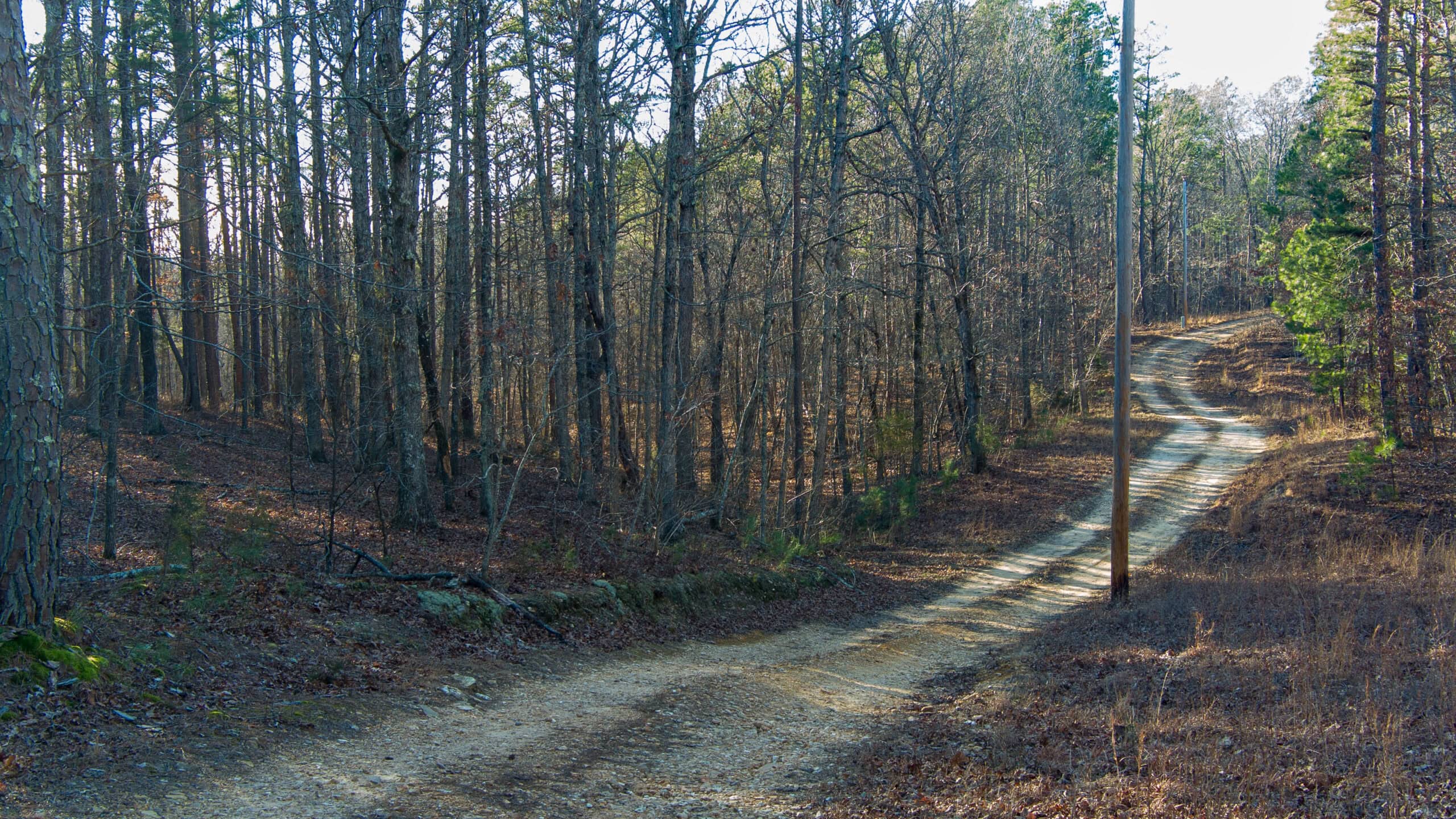 20 ± Acre Wooded Land for Sale in Salem, MO