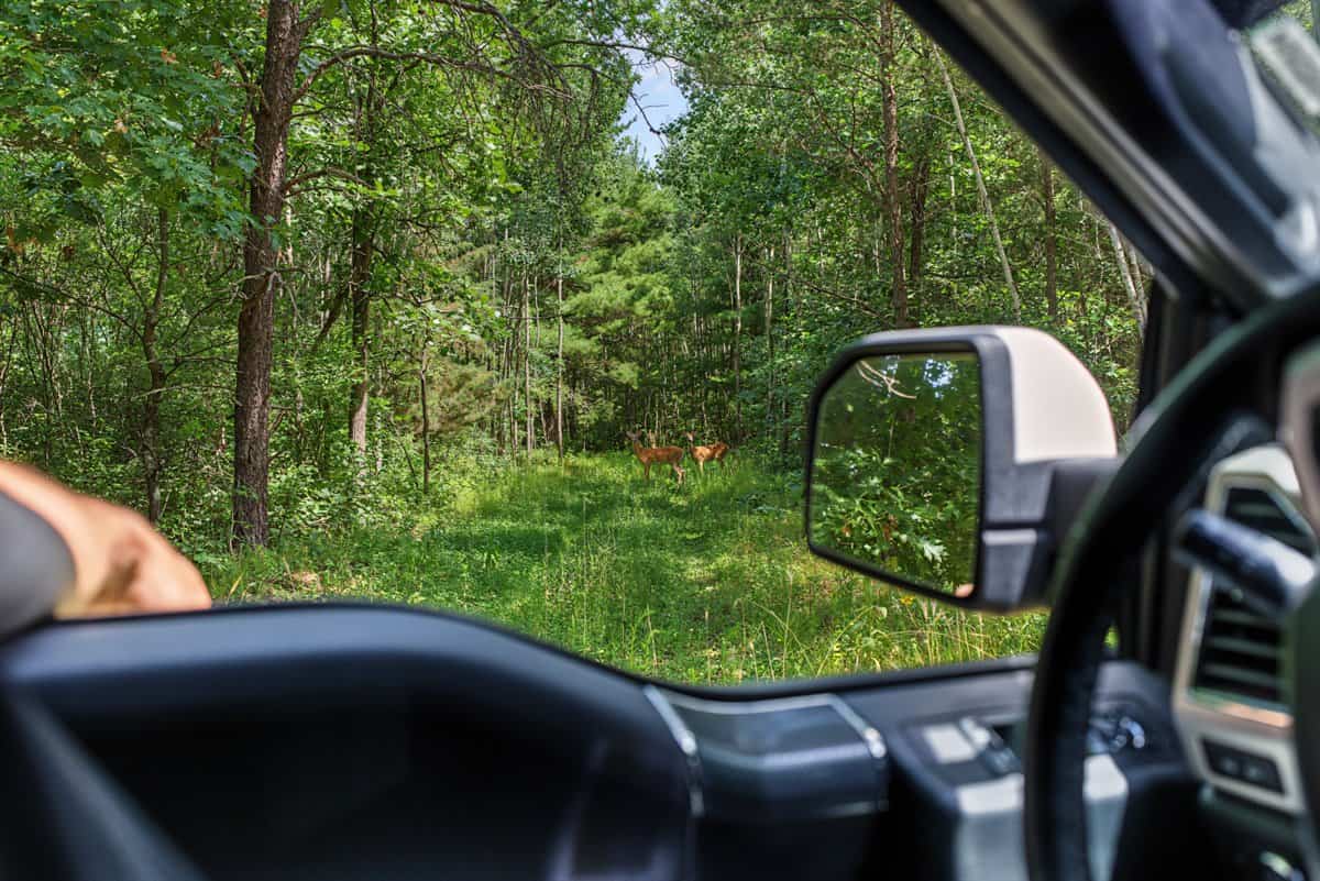 117± Acres of Irrigated Farmland and Trophy Whitetail Habitat — Adams County, Wisconsin