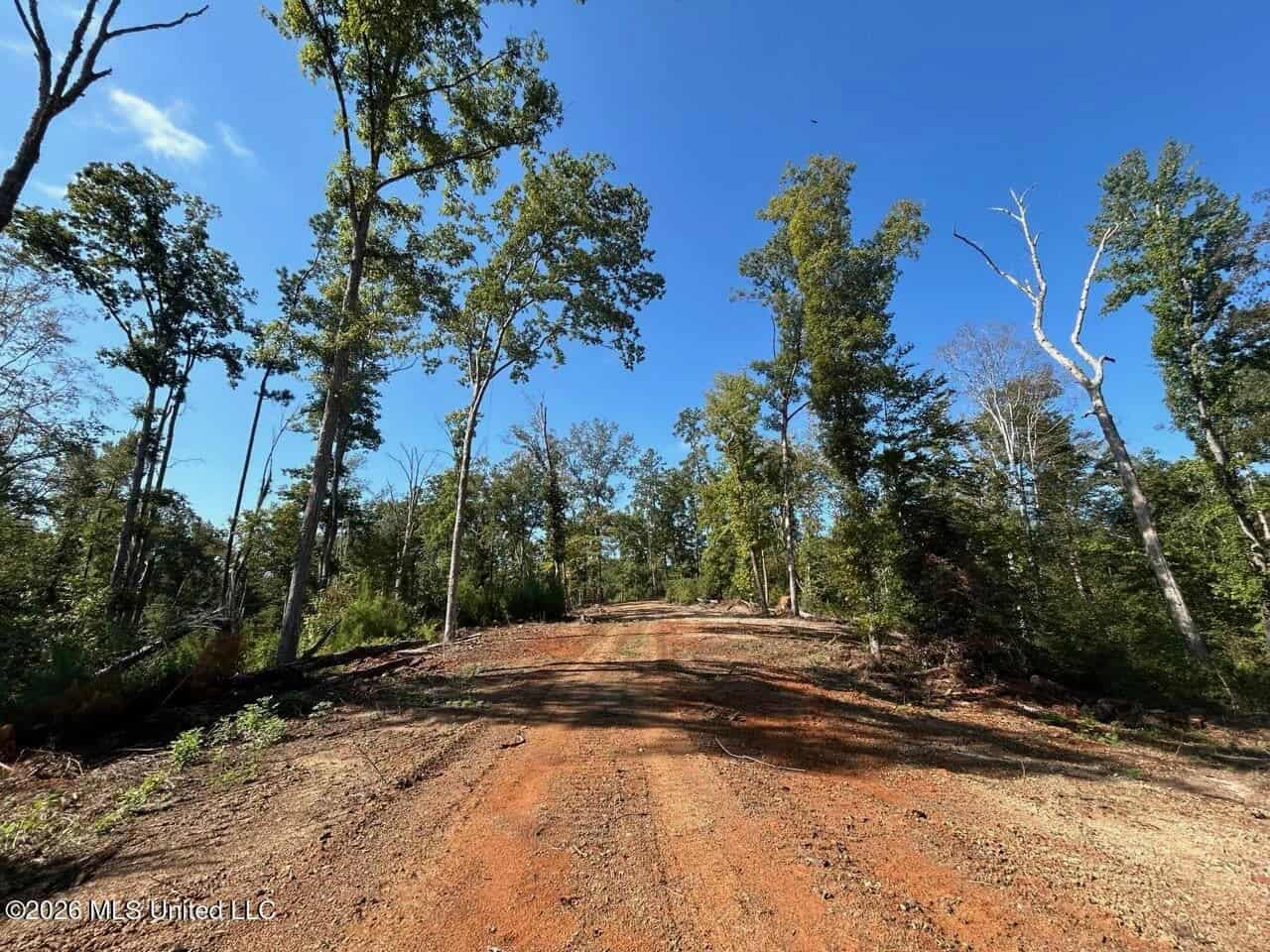 45± Acre Hunting Property in Franklin County, MS