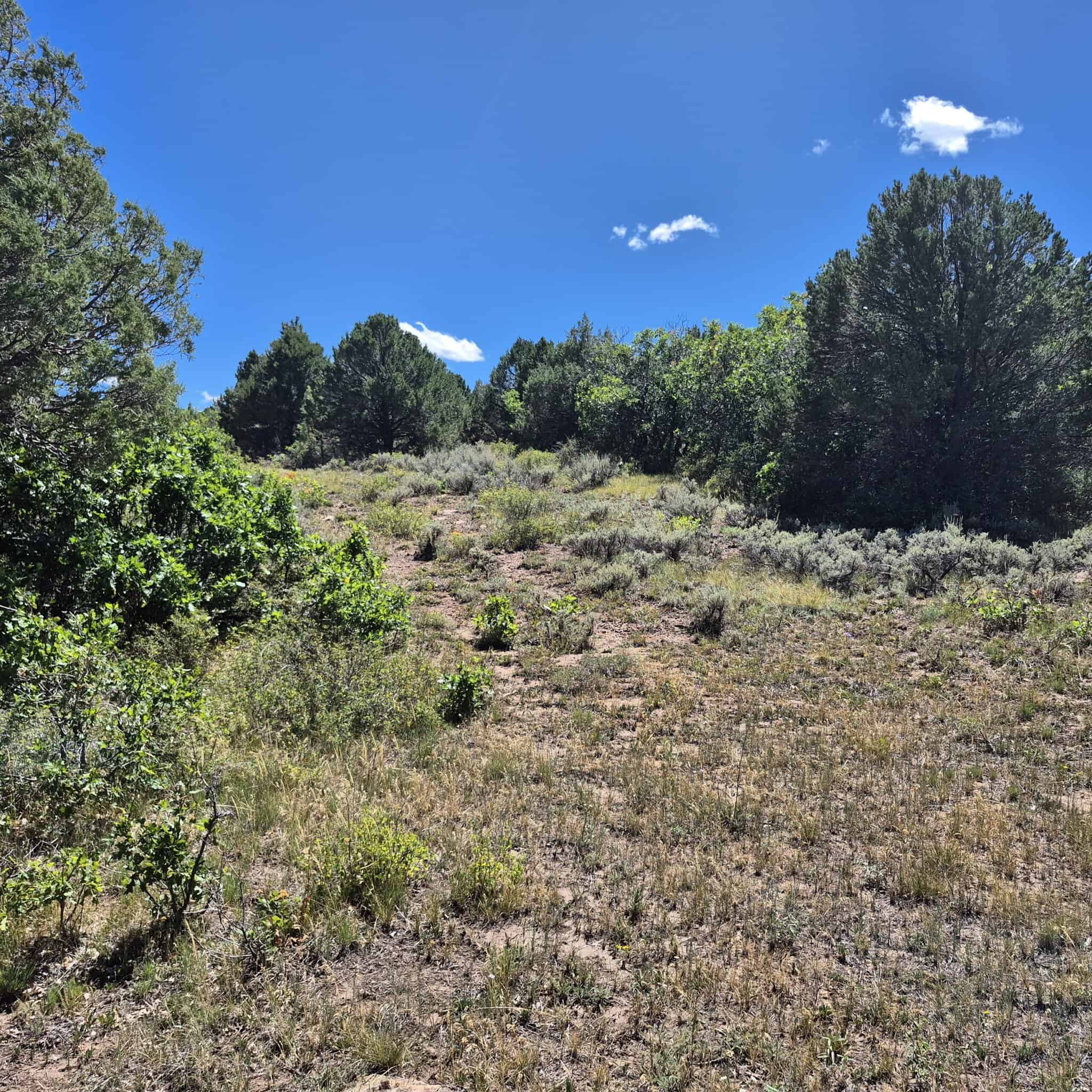 Colorado Hunting Land For Sale