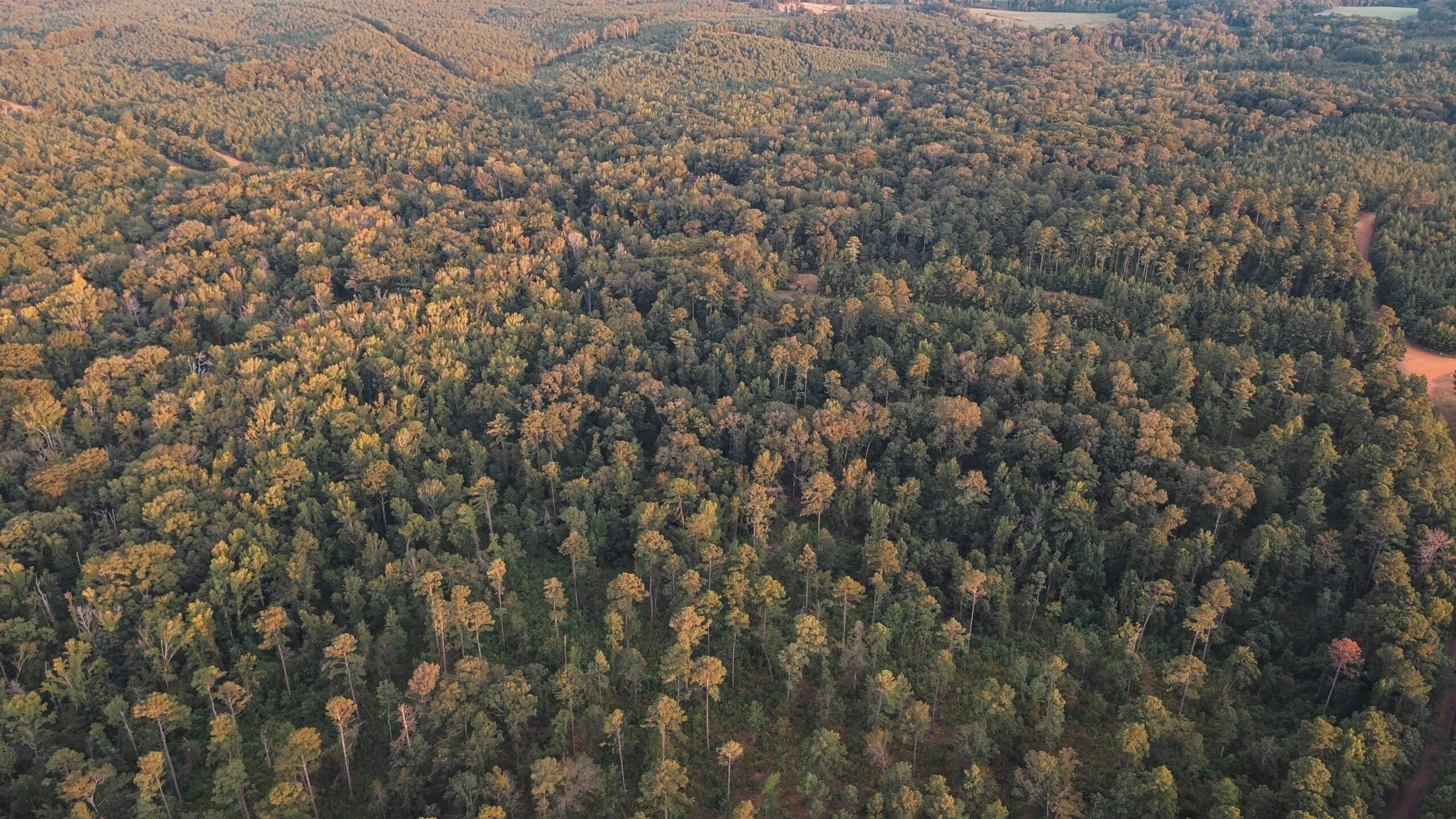 Affordable Union Parish Land for Sale