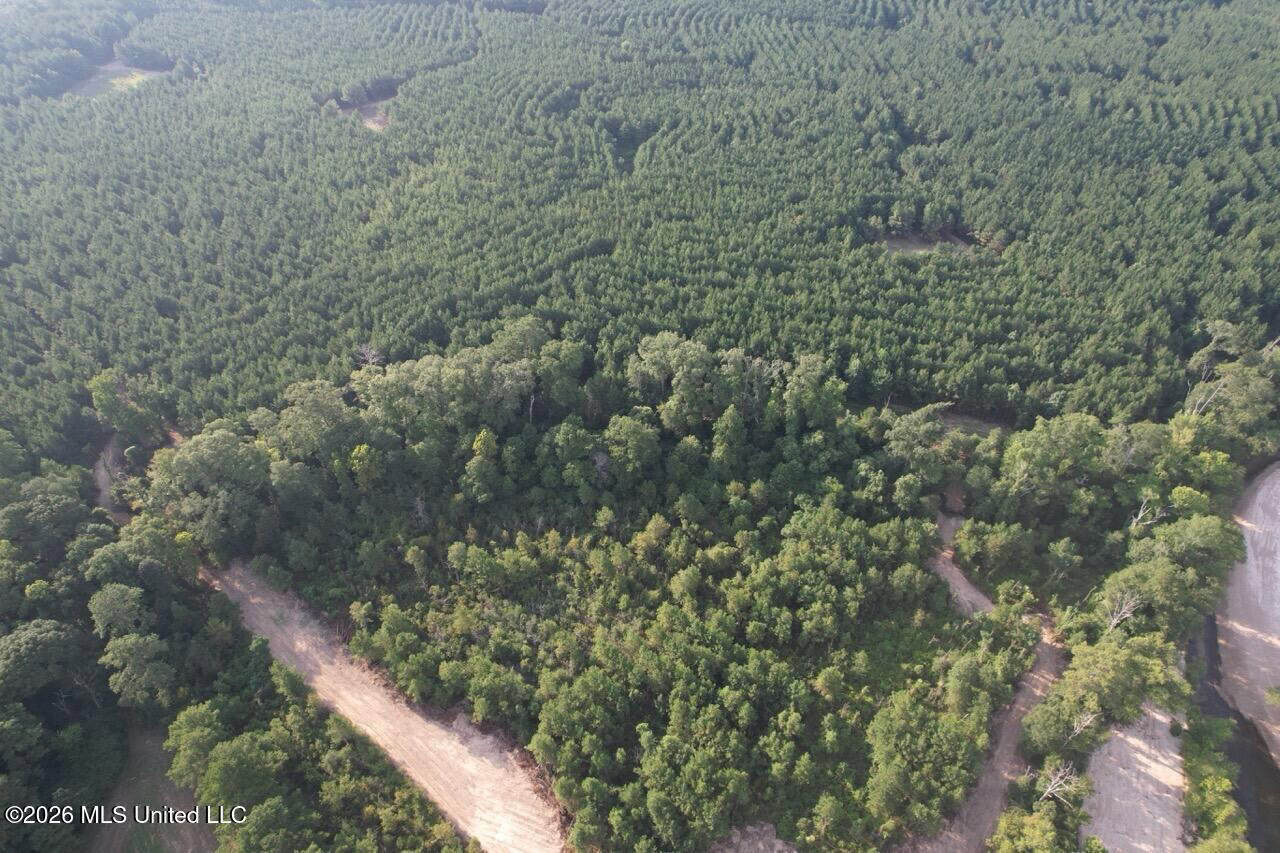 80± Acre Riverfront Hunting Land Near Meadville, MS