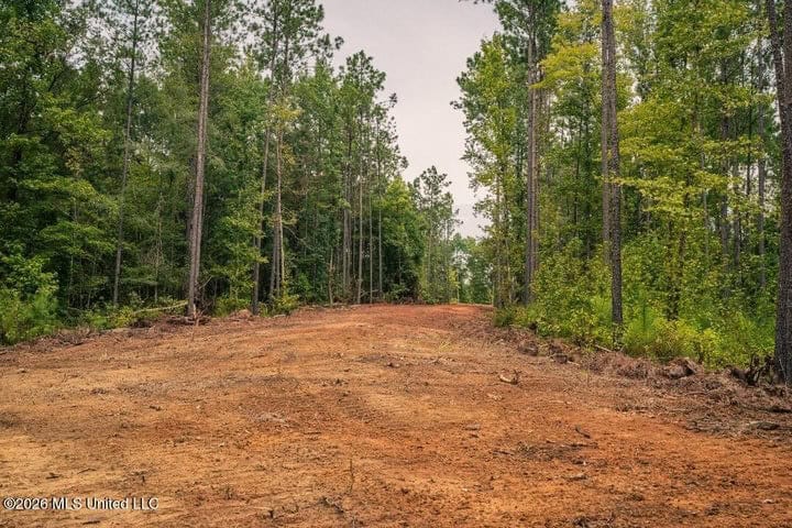 36± Acre Hunting Property Near Bude, MS