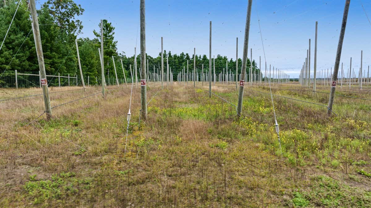 34.5± acre high-ground property in the Town of Bear Bluff