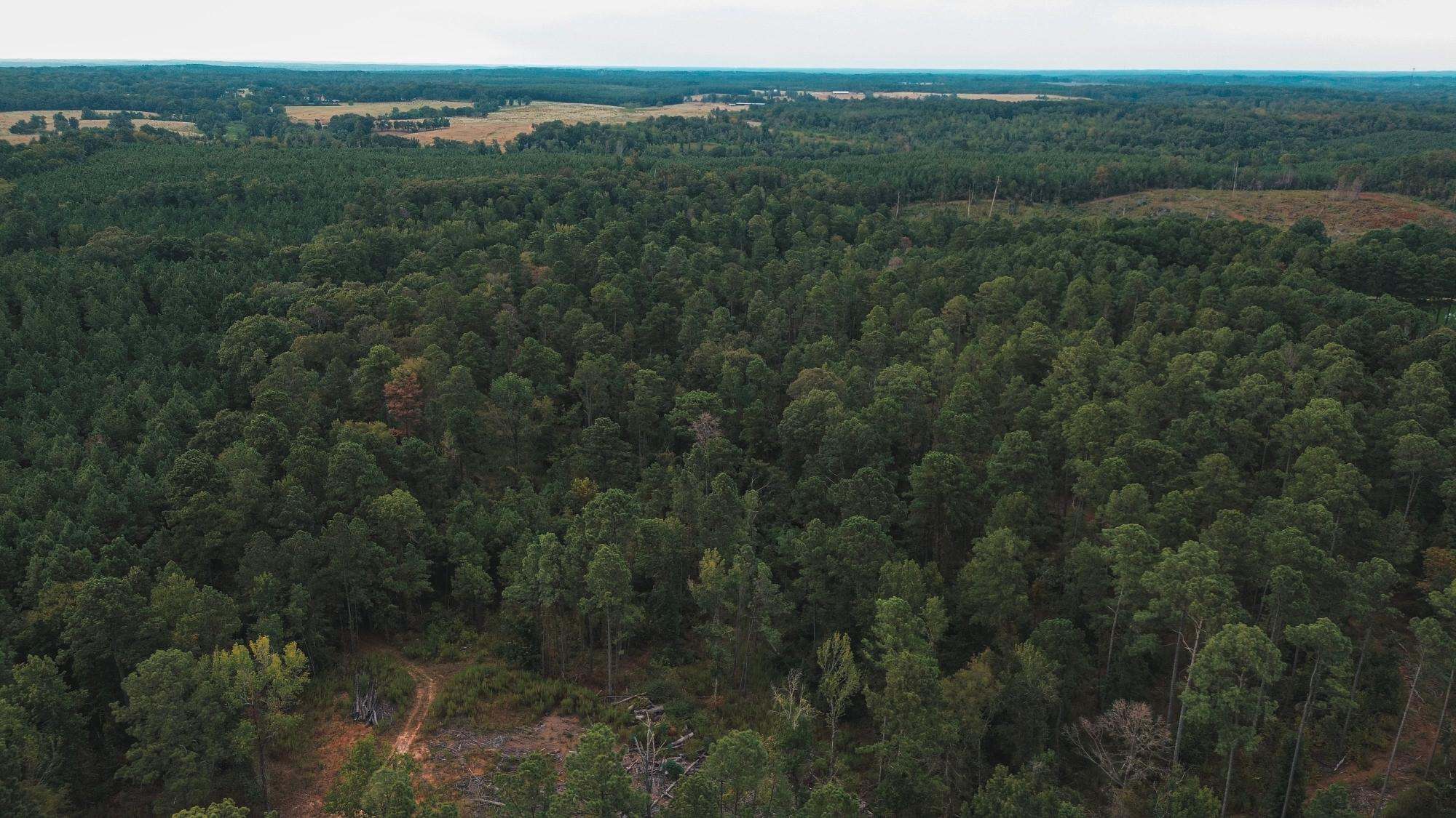 Affordable Union Parish Land for Sale