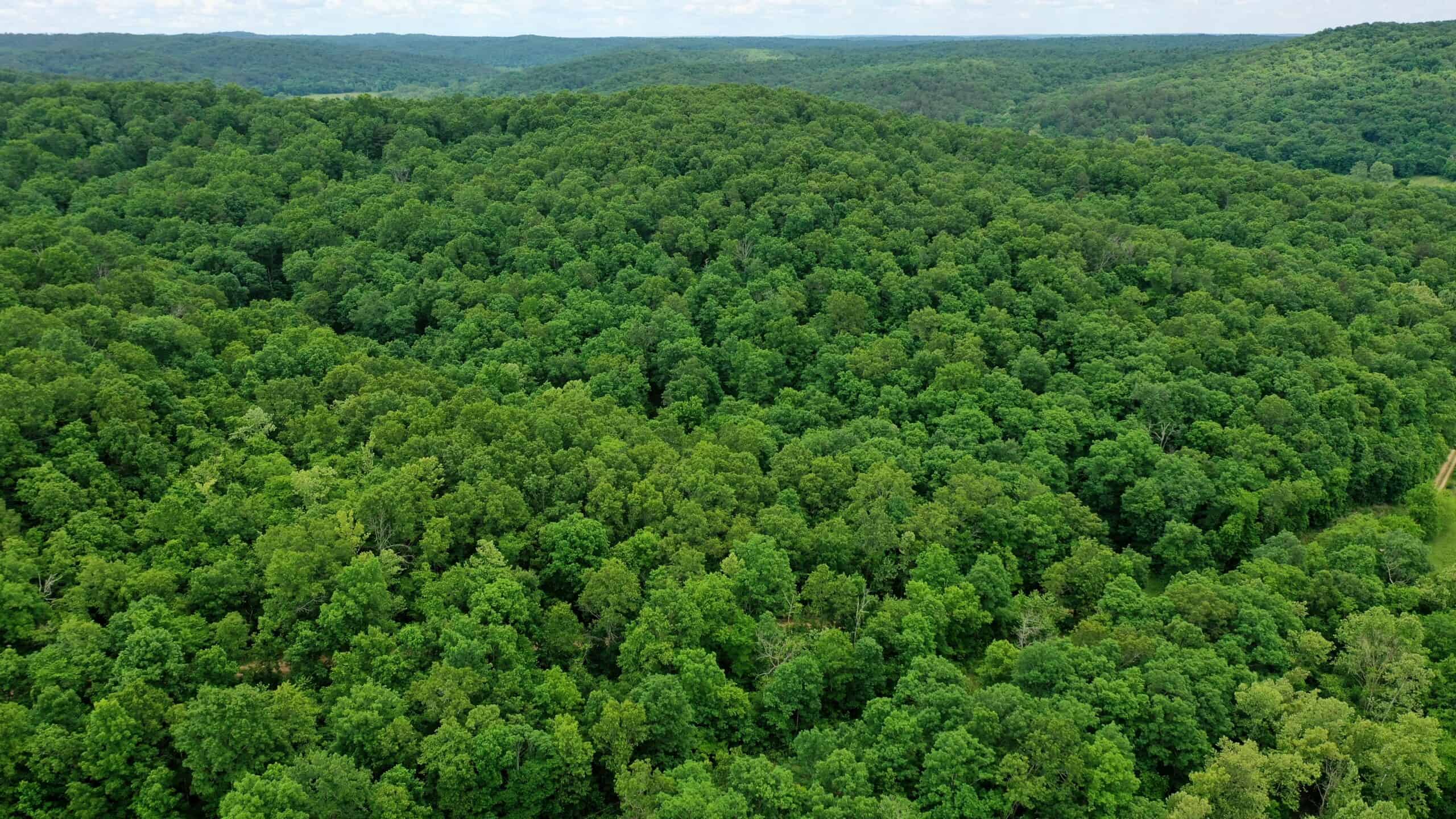 473 ± Acre Ozark Farm for Sale Near Salem, Missouri