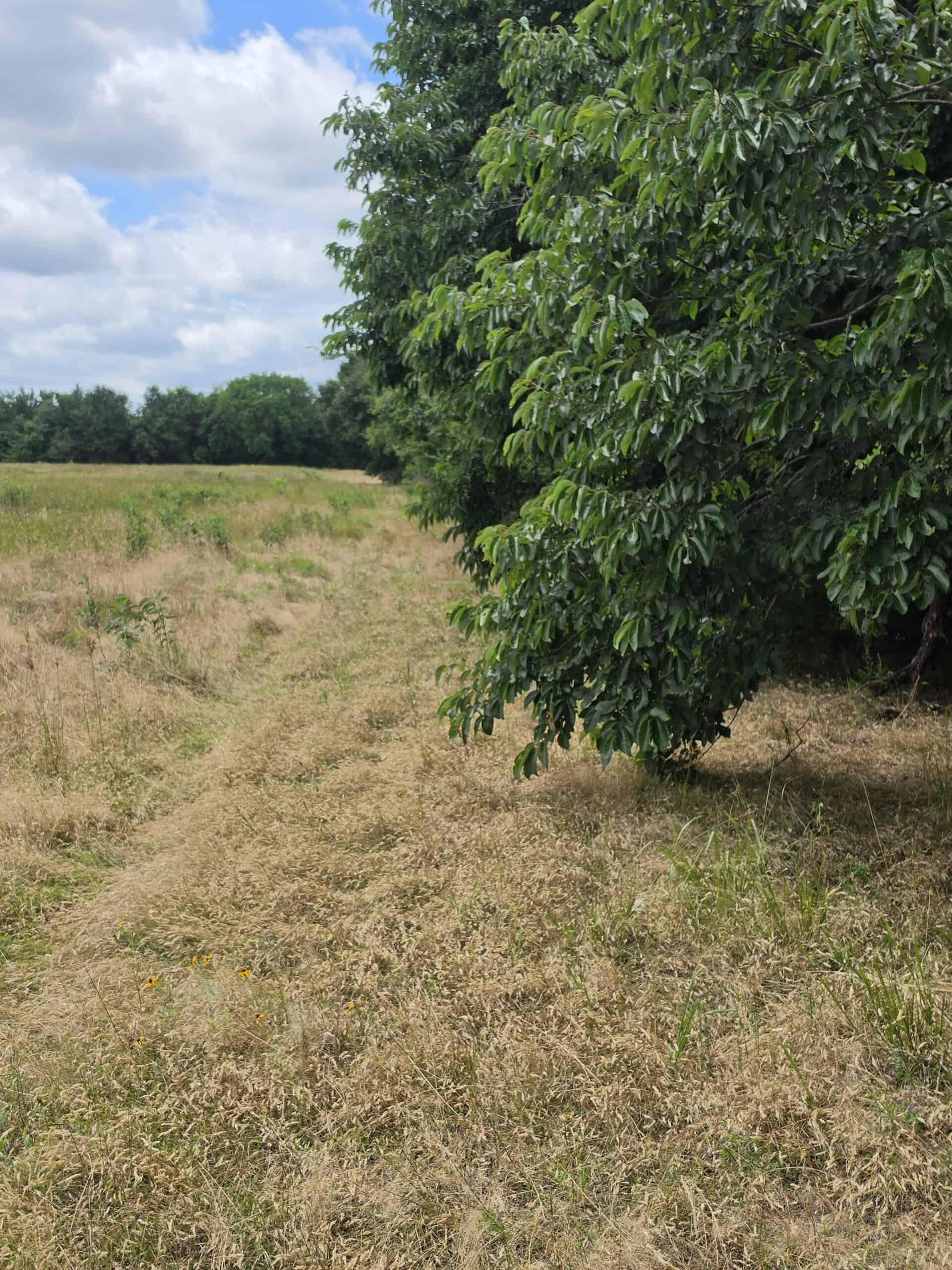 104± Acres of Whitetail Hunting, Hardwood Timber & Fishing Ponds in SE Oklahoma