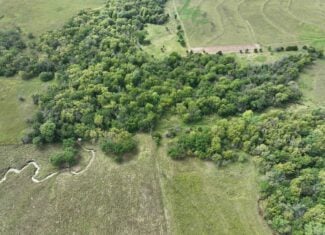 Excellent Building Site & Hunting Property in Coffey County Kansas