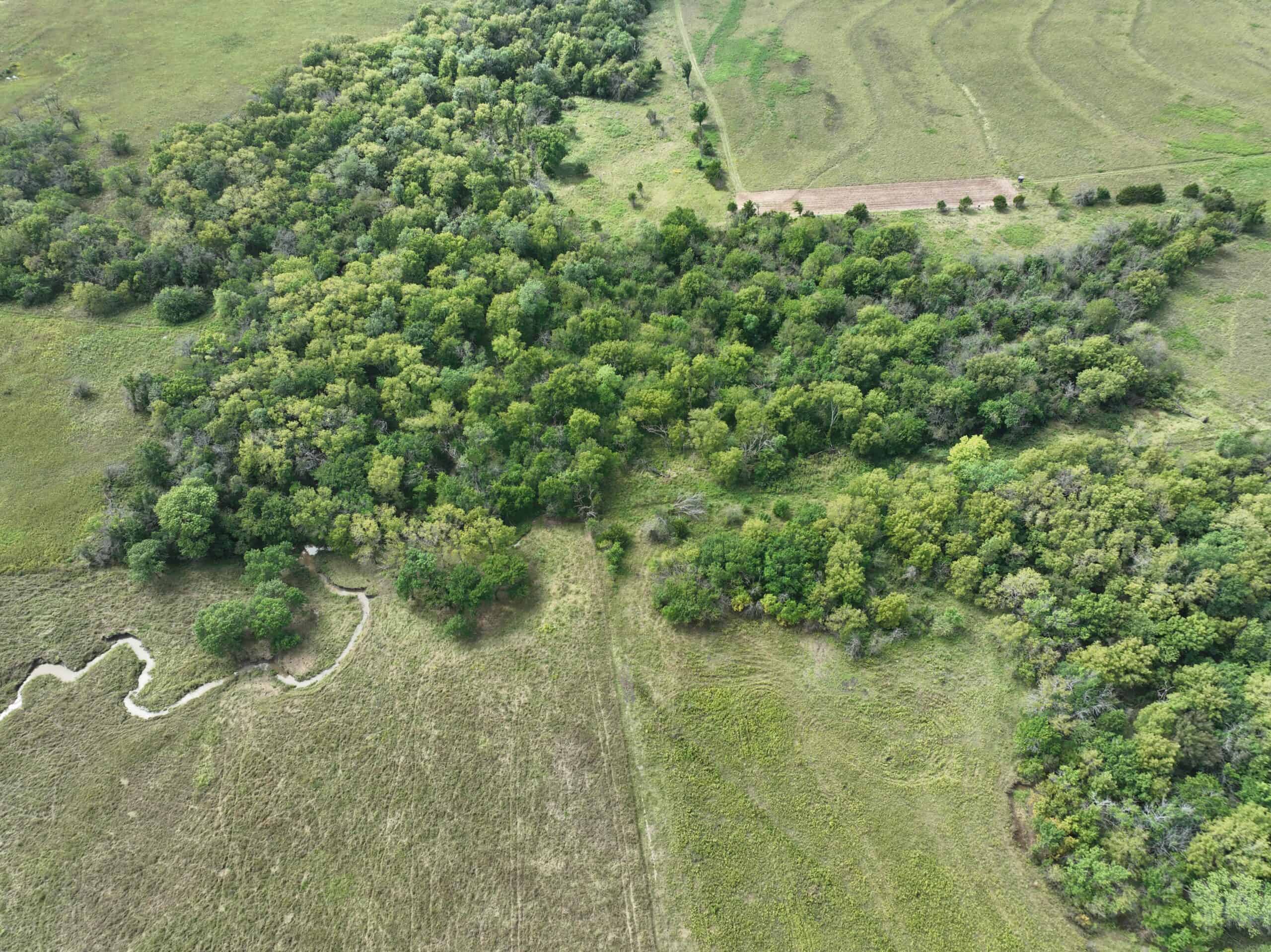 Excellent Building Site & Hunting Property in Coffey County Kansas