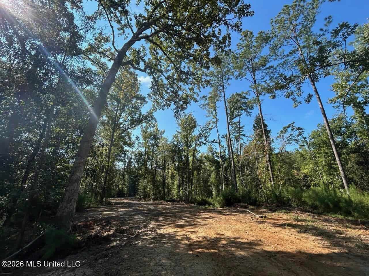 45± Acre Hunting Property in Franklin County, MS