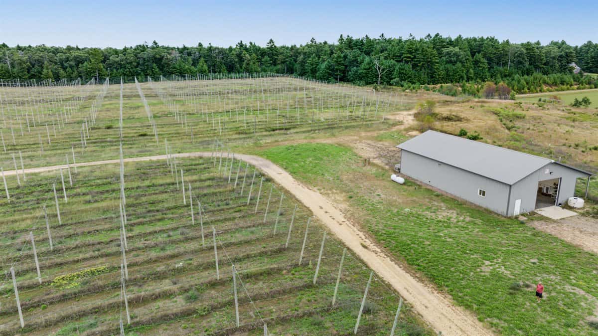 34.5± acre high-ground property in the Town of Bear Bluff