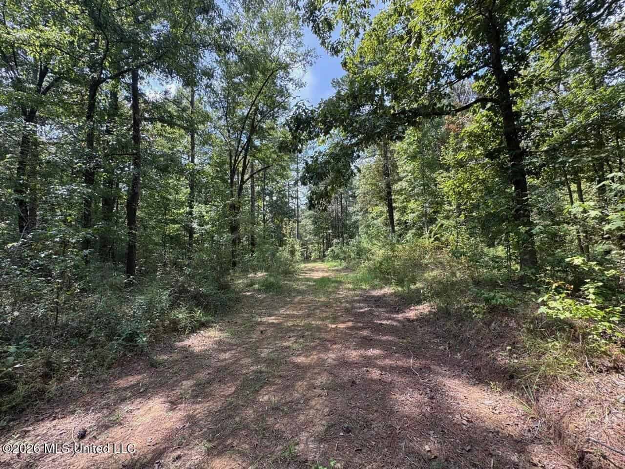 200± Acre Hunting Property in Jefferson County, MS