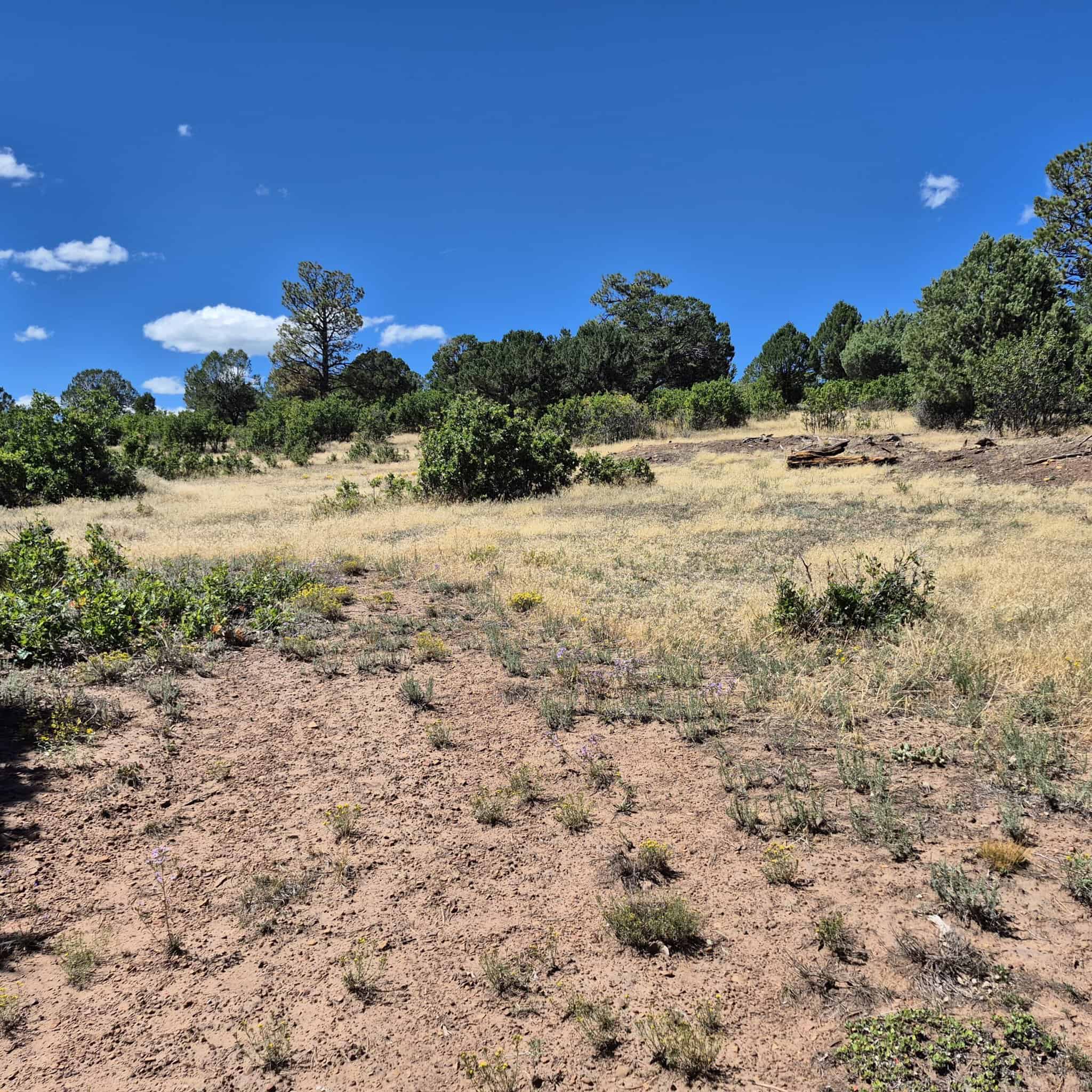 Colorado Hunting Land For Sale