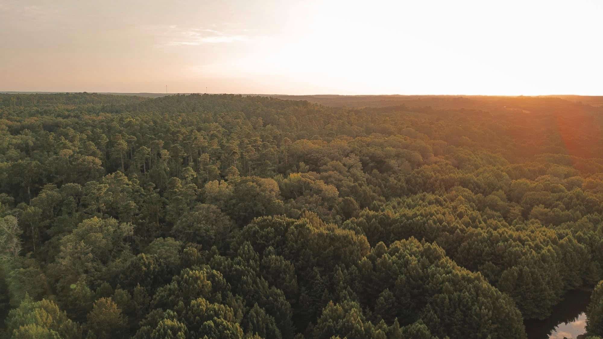 Affordable Union Parish Land for Sale
