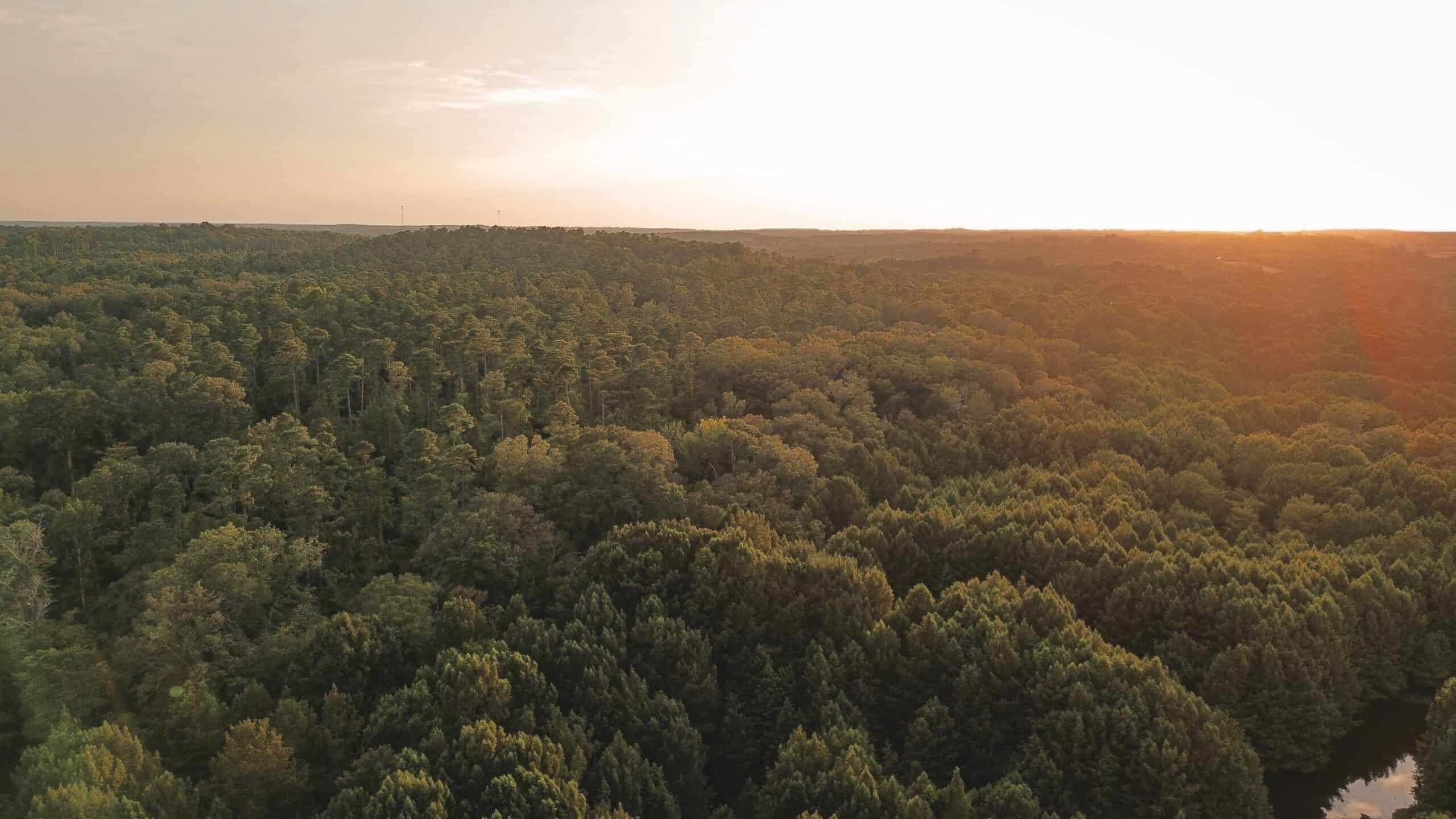 Affordable Union Parish Land for Sale