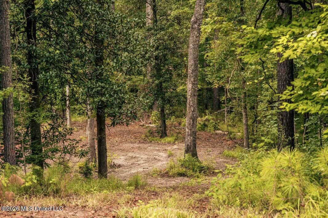 58± Acre Hunting Property in Franklin County, MS