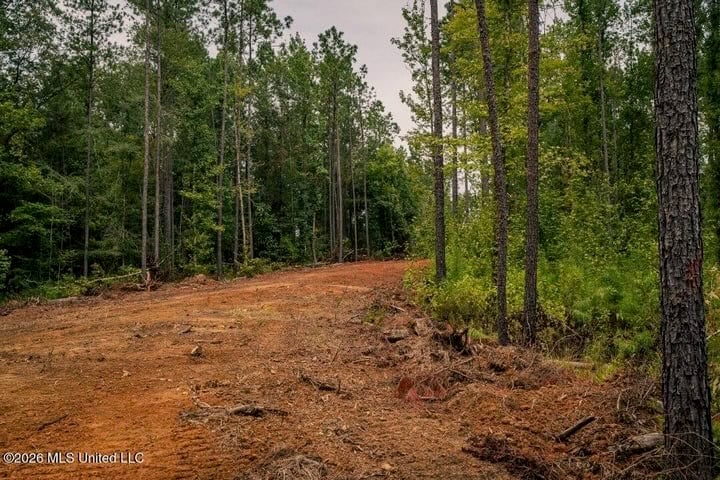 36± Acre Hunting Property Near Bude, MS