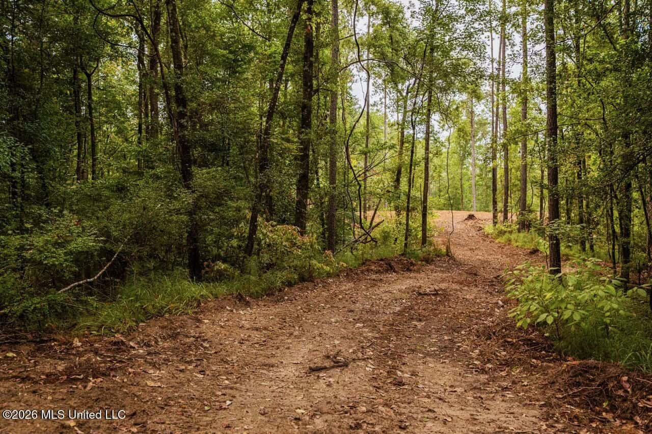 13± Acres by Homochitto National Forest Near Meadville, MS
