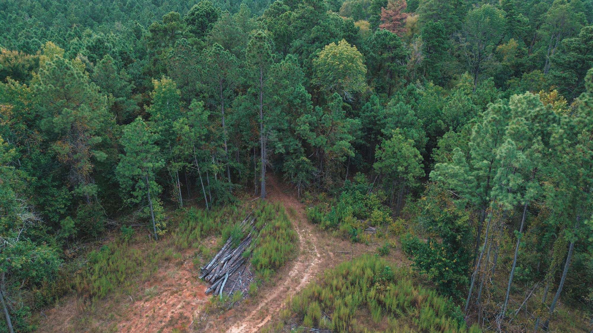 Affordable Union Parish Land for Sale