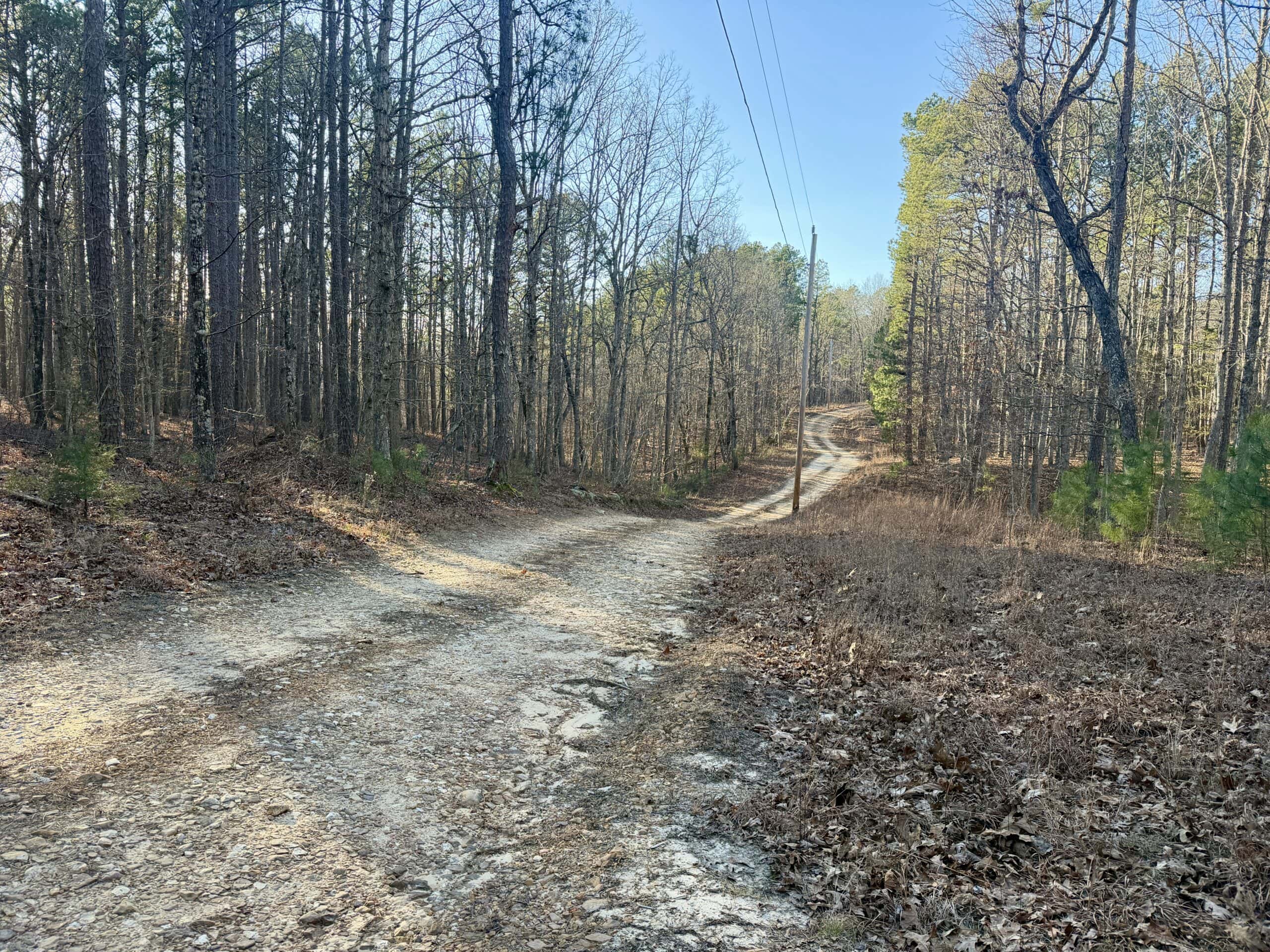 20 ± Acre Wooded Land for Sale in Salem, MO