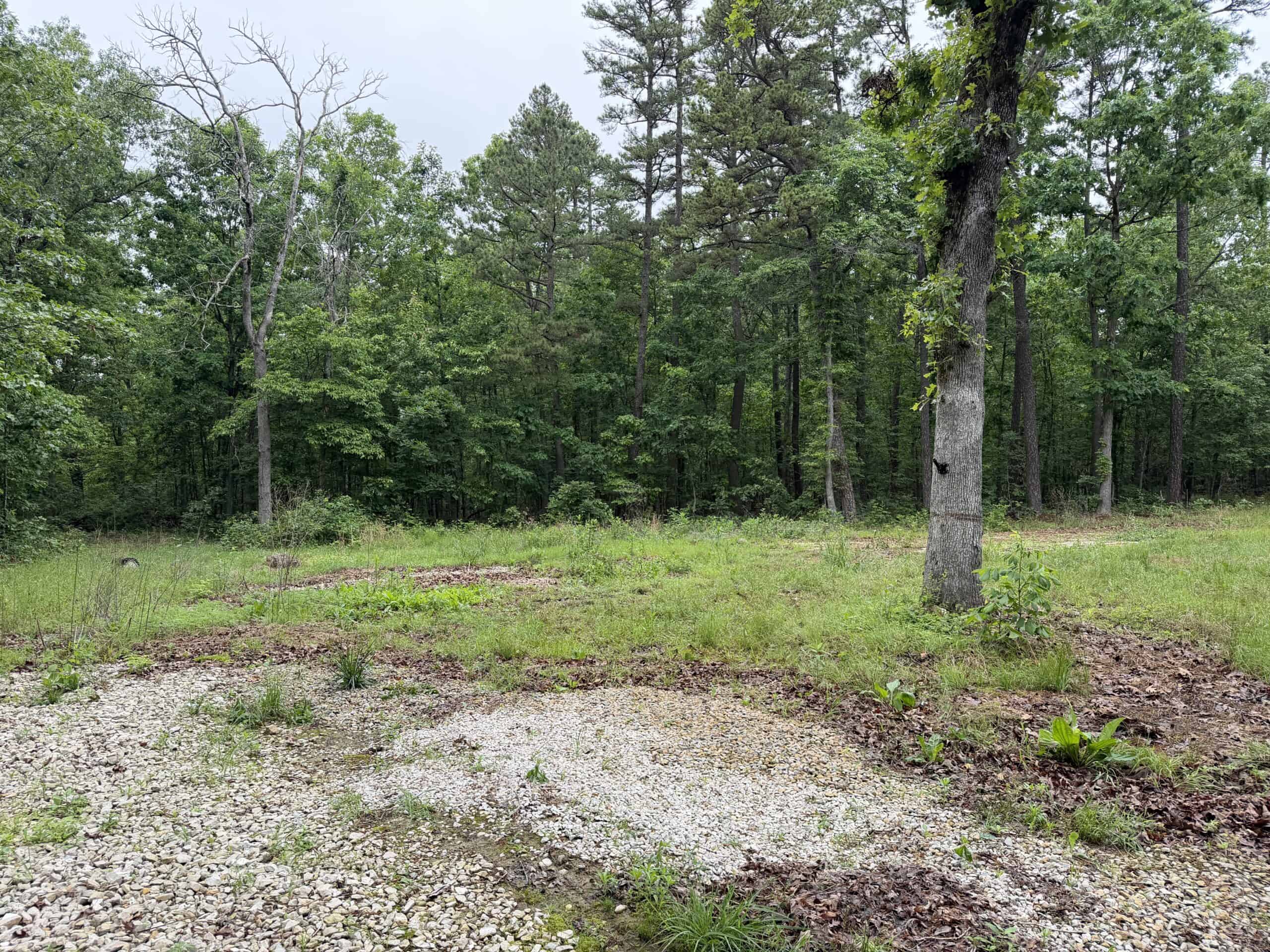 46.12 ± Acre Hunting Land for Sale in the Missouri Ozarks