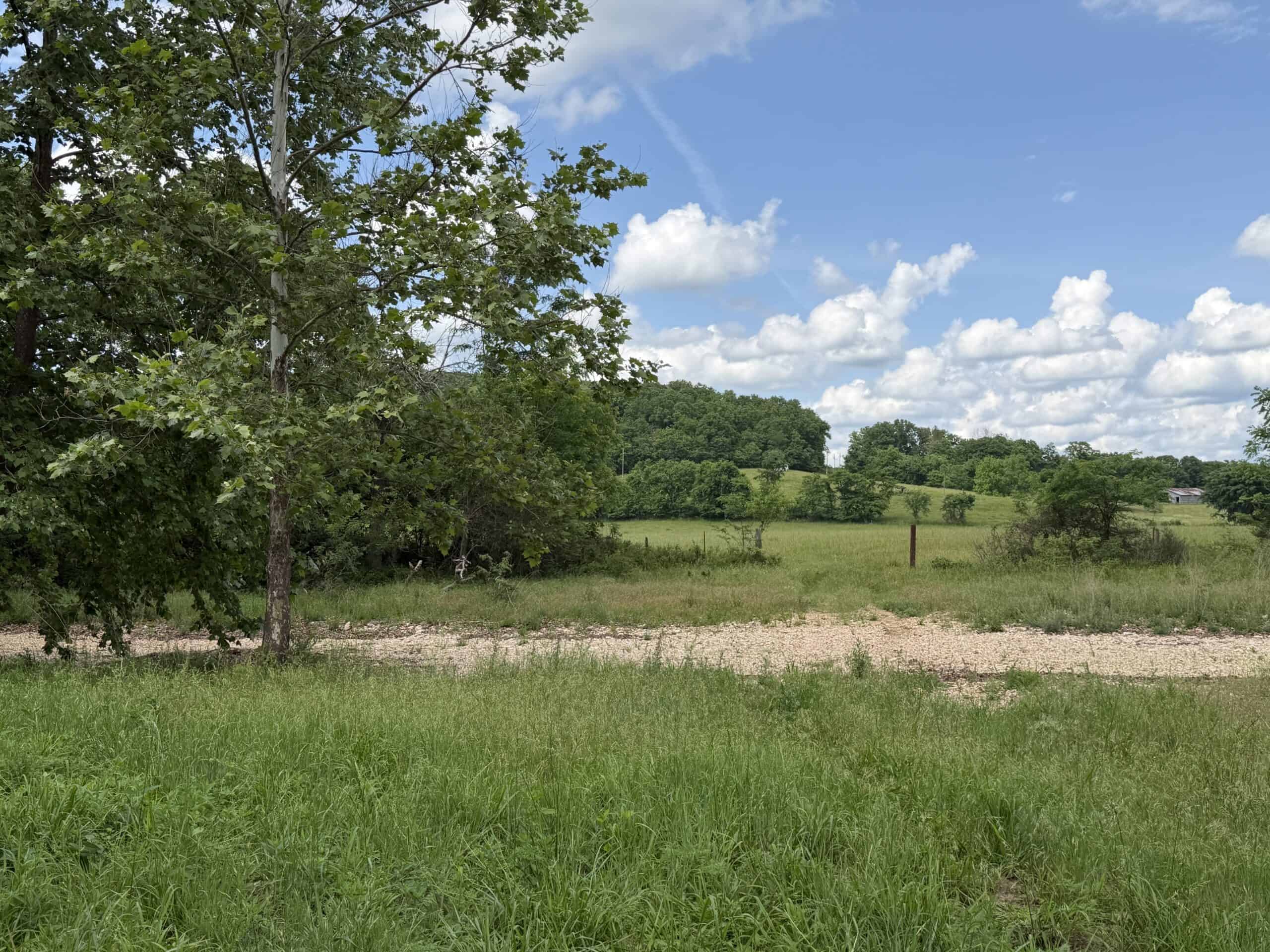 473 ± Acre Ozark Farm for Sale Near Salem, Missouri