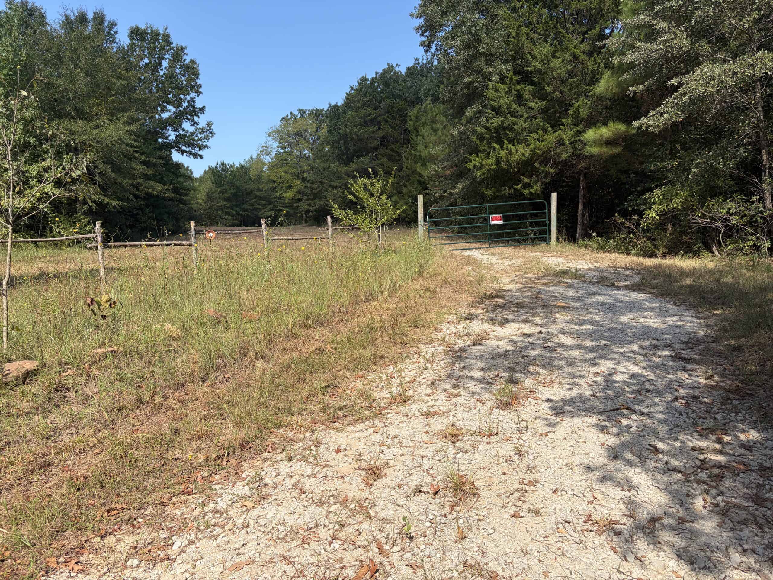 ±16.71 Acres in Linden TX | Land For Sale with Cabin & Power