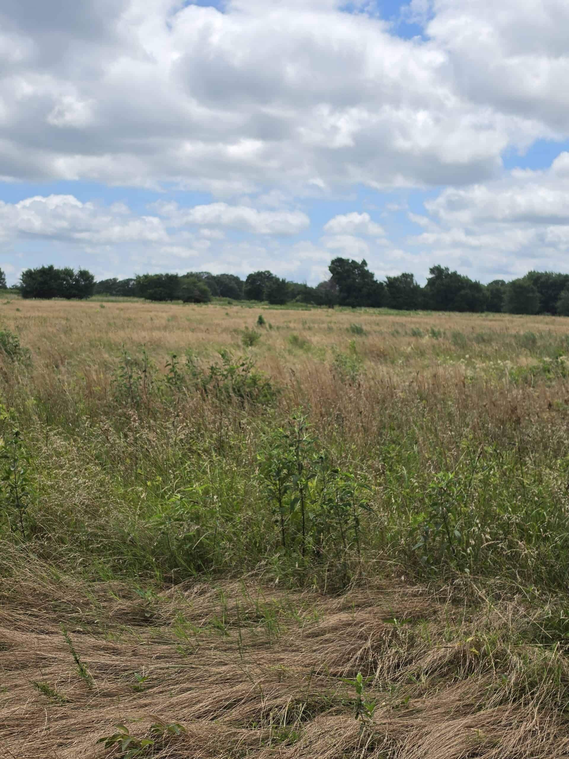 104± Acres of Whitetail Hunting, Hardwood Timber & Fishing Ponds in SE Oklahoma
