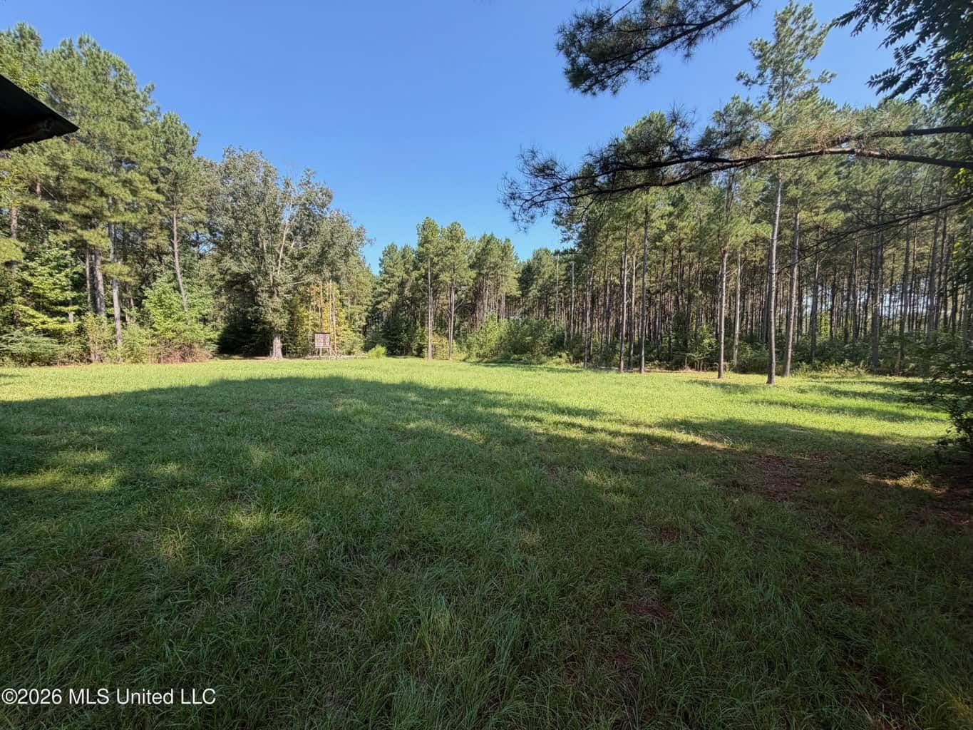 76 Acres of Hunting Land in Raleigh, MS, Smith County