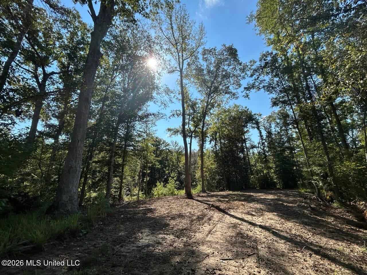 45± Acre Hunting Property in Franklin County, MS