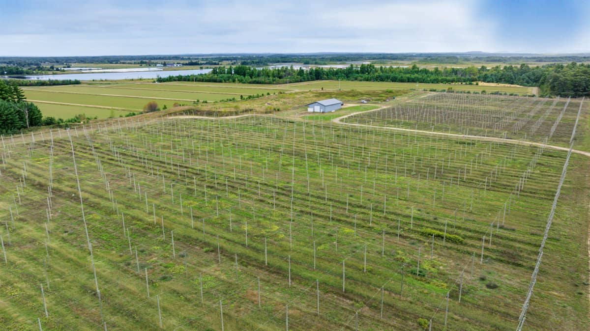 34.5± acre high-ground property in the Town of Bear Bluff