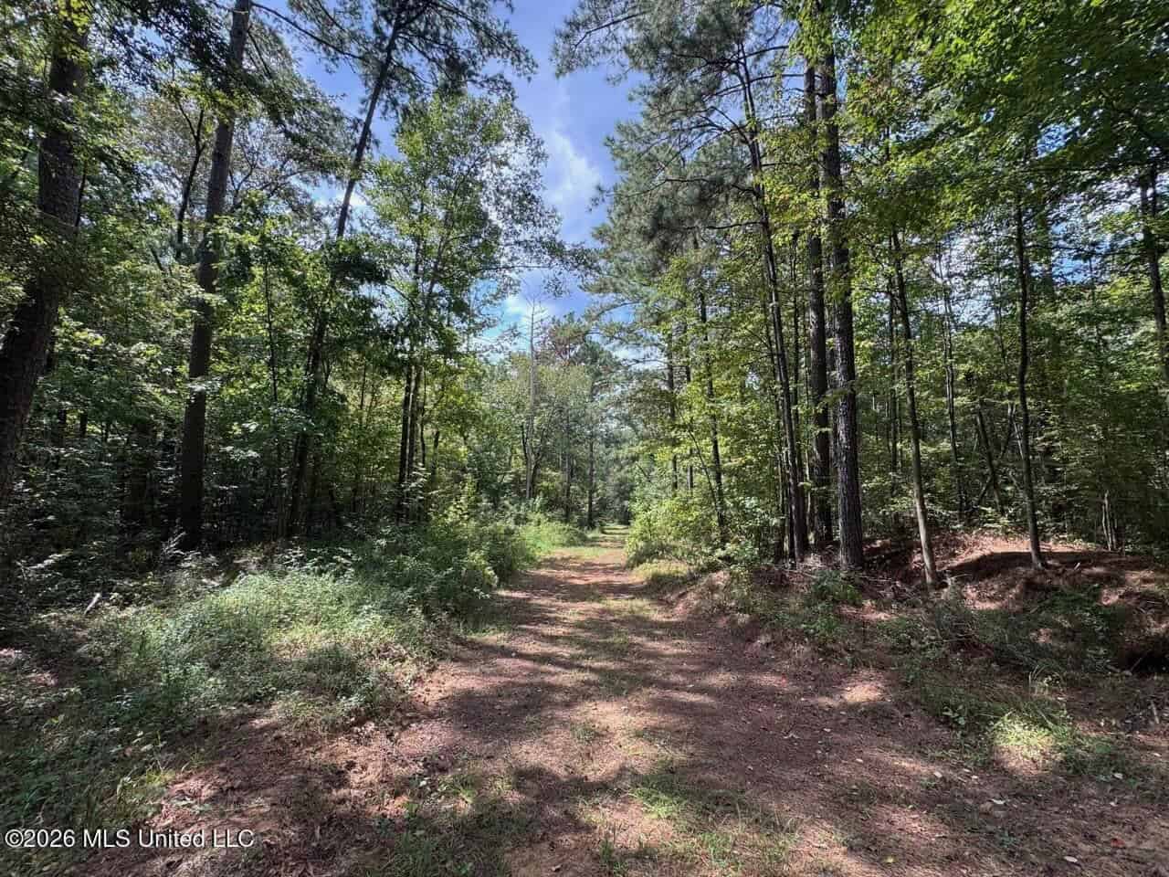 200± Acre Hunting Property in Jefferson County, MS