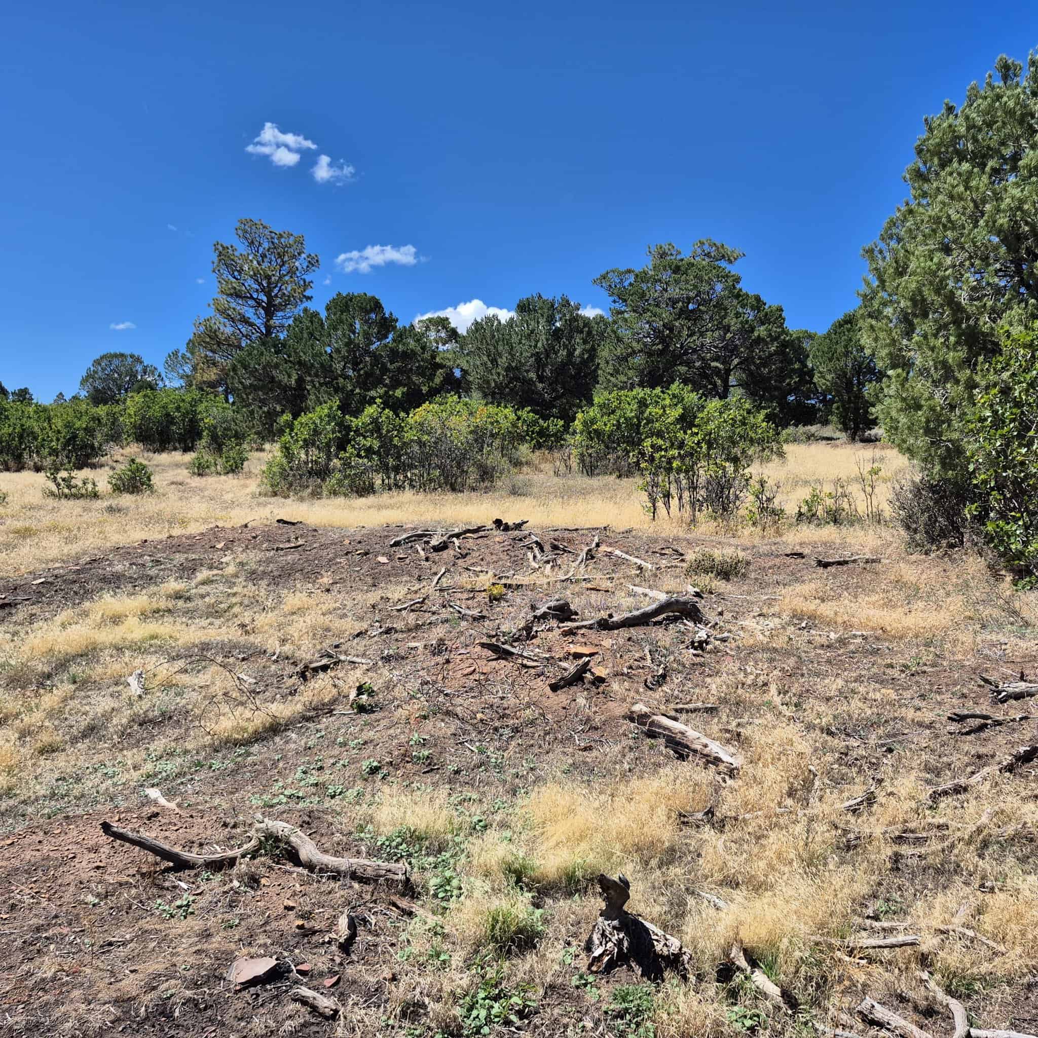 Colorado Hunting Land For Sale