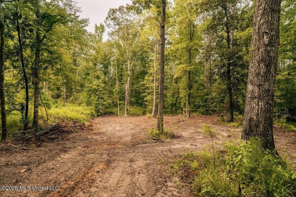 58± Acre Hunting Property in Franklin County, MS