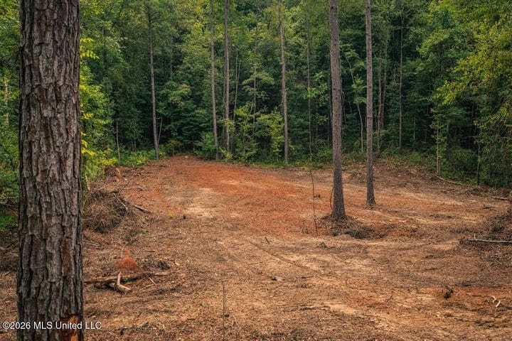 36± Acre Hunting Property Near Bude, MS