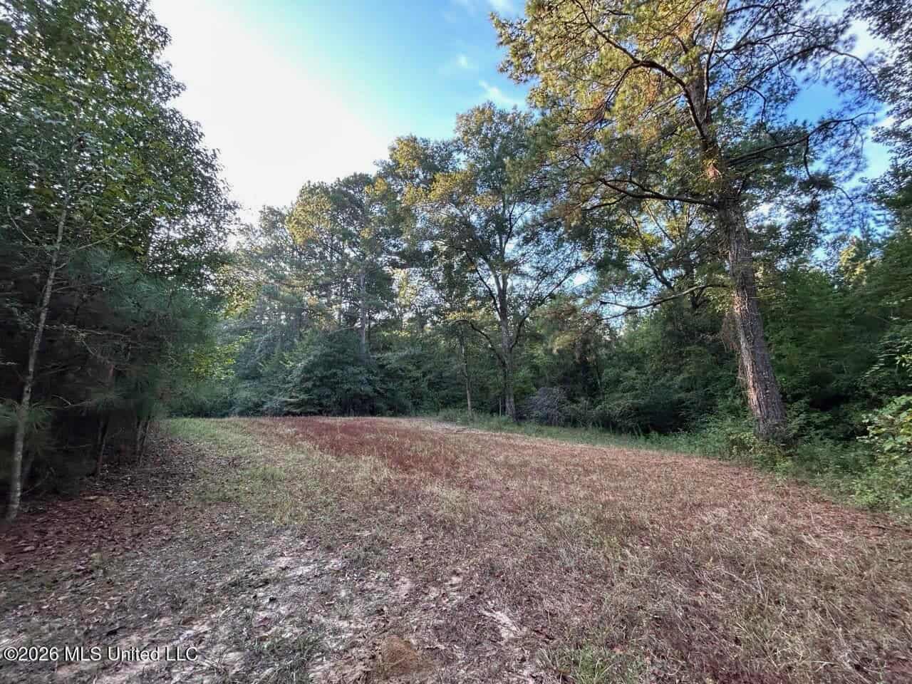210+/- Acres and Cabin in Franklin County, MS